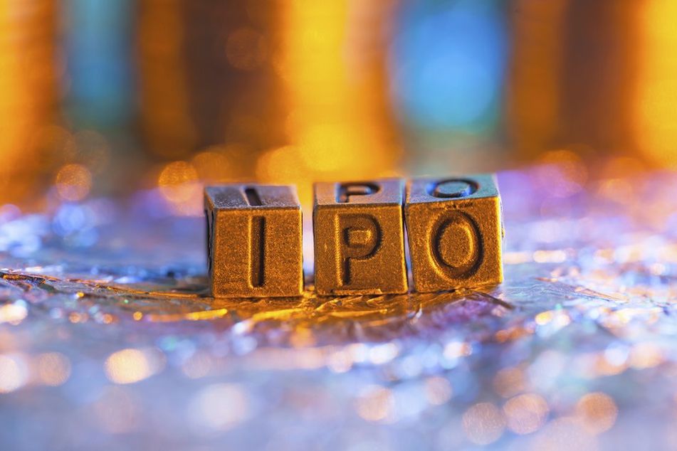 生物科技泡沫破灭：2024 年生物科技 IPO 平均回报率为 -52%
